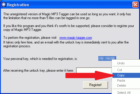 Magic tagger license key screenshot 2